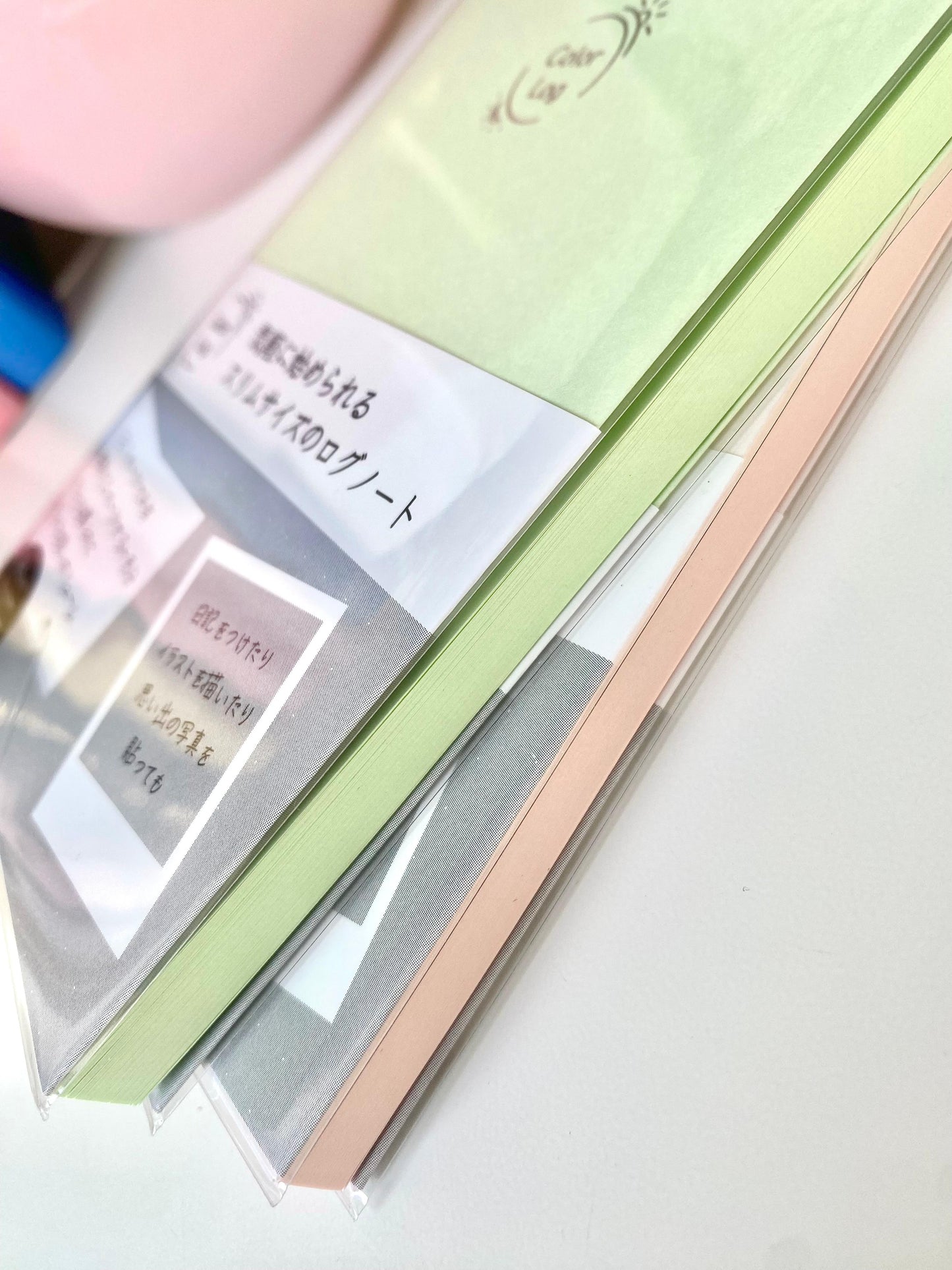 Nakabayashi | Libreta de bolsillo con puntitos Color Log - Verde